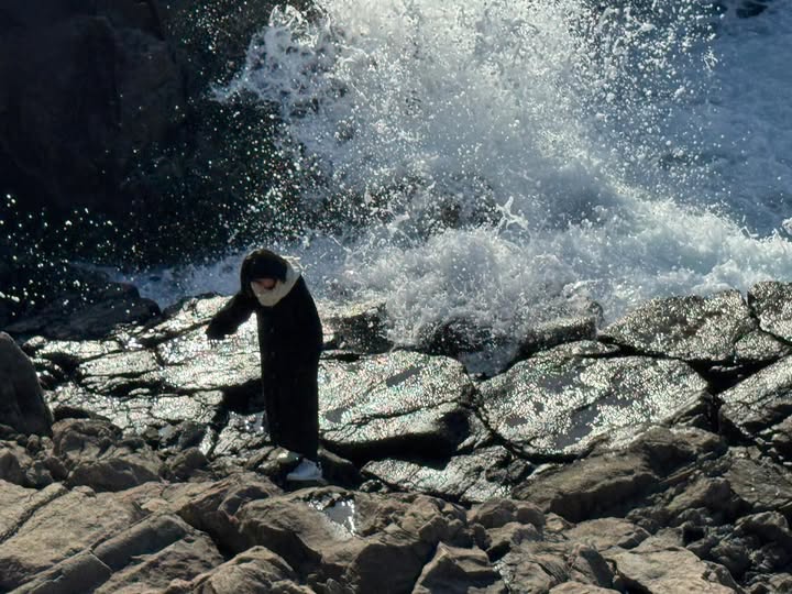 【ぴのこ通信vol.31】『ROOTS』②