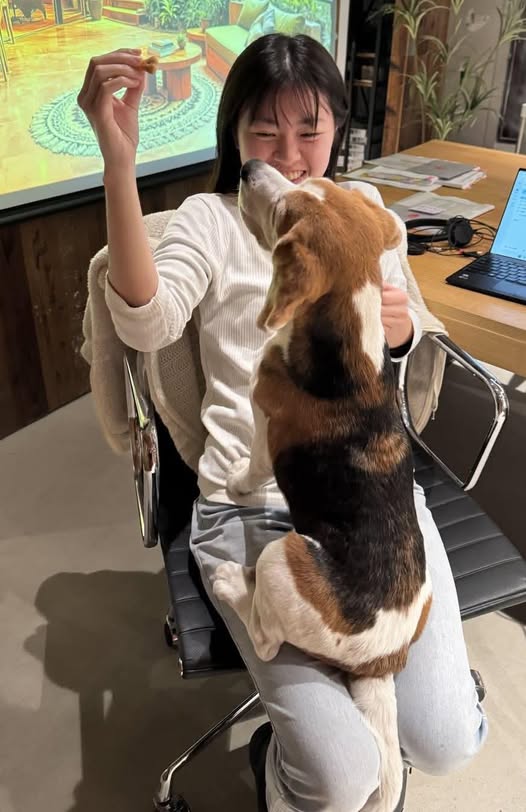 【ぴのこ通信vol.33】「カイゼン」